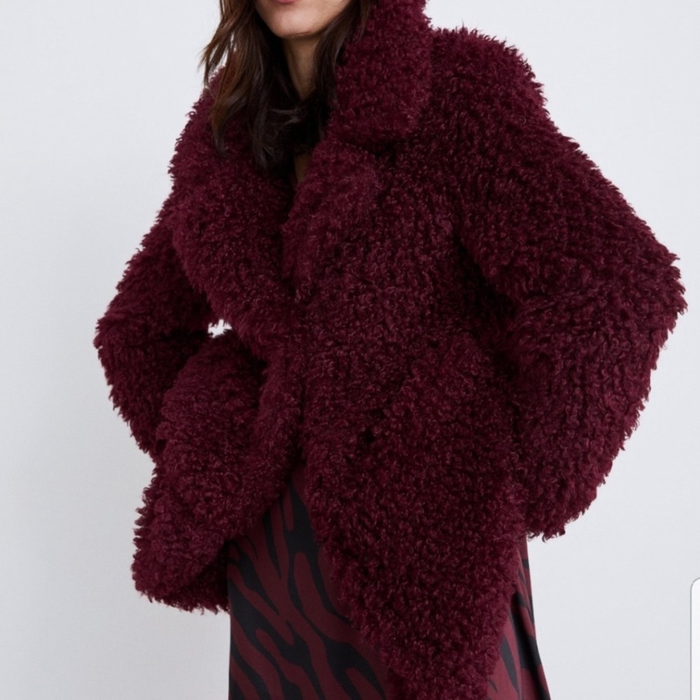 🎉HOST PICK🎉ZARA Soft Fur Coat - Picture 3 of 9